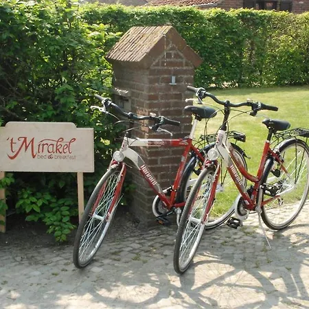't Mirakel 3*